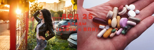индика Алзамай