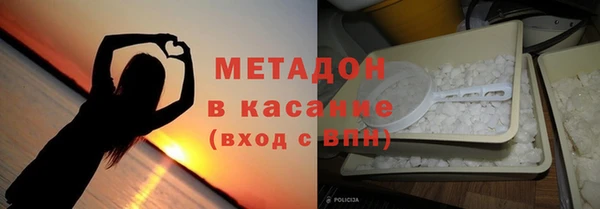 индика Алзамай