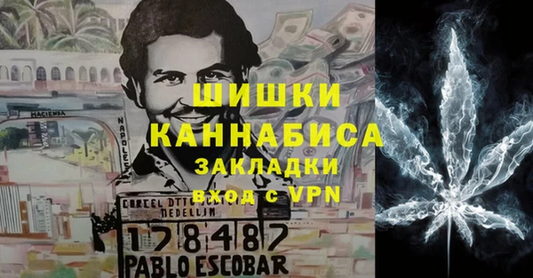 индика Алзамай