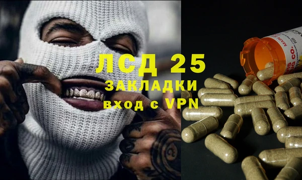 индика Алзамай