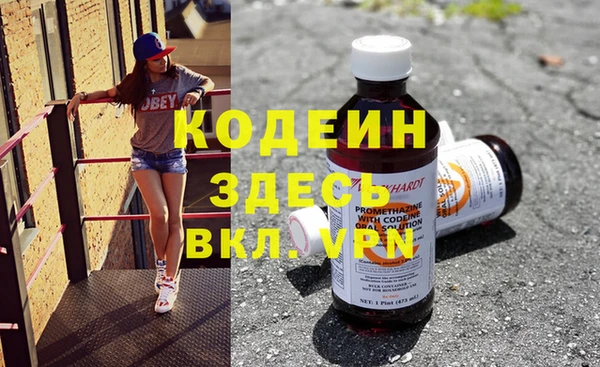 индика Алзамай