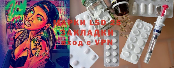 индика Алзамай