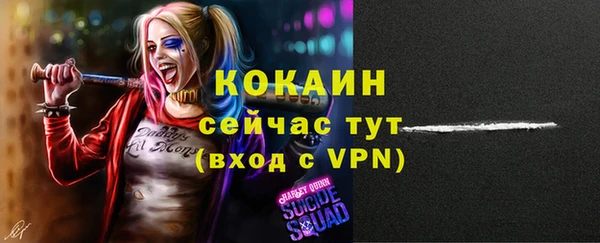 кокс Алексин