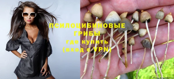 кокс Алексин