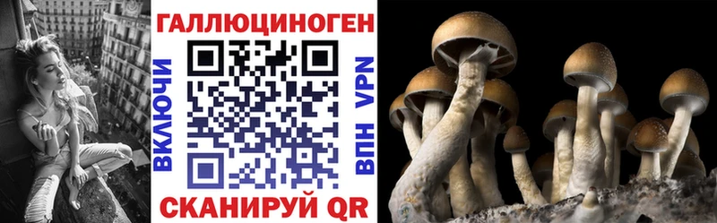Галлюциногенные грибы Cubensis  мориарти телеграм  hydra ССЫЛКА  Орск  купить закладку 