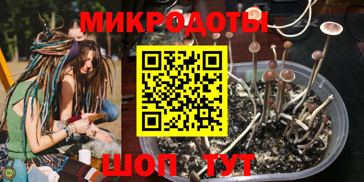 Галлюциногенные грибы ЛСД  Псилоцибиновые грибы мицелий  Вход с VPN  Орск 